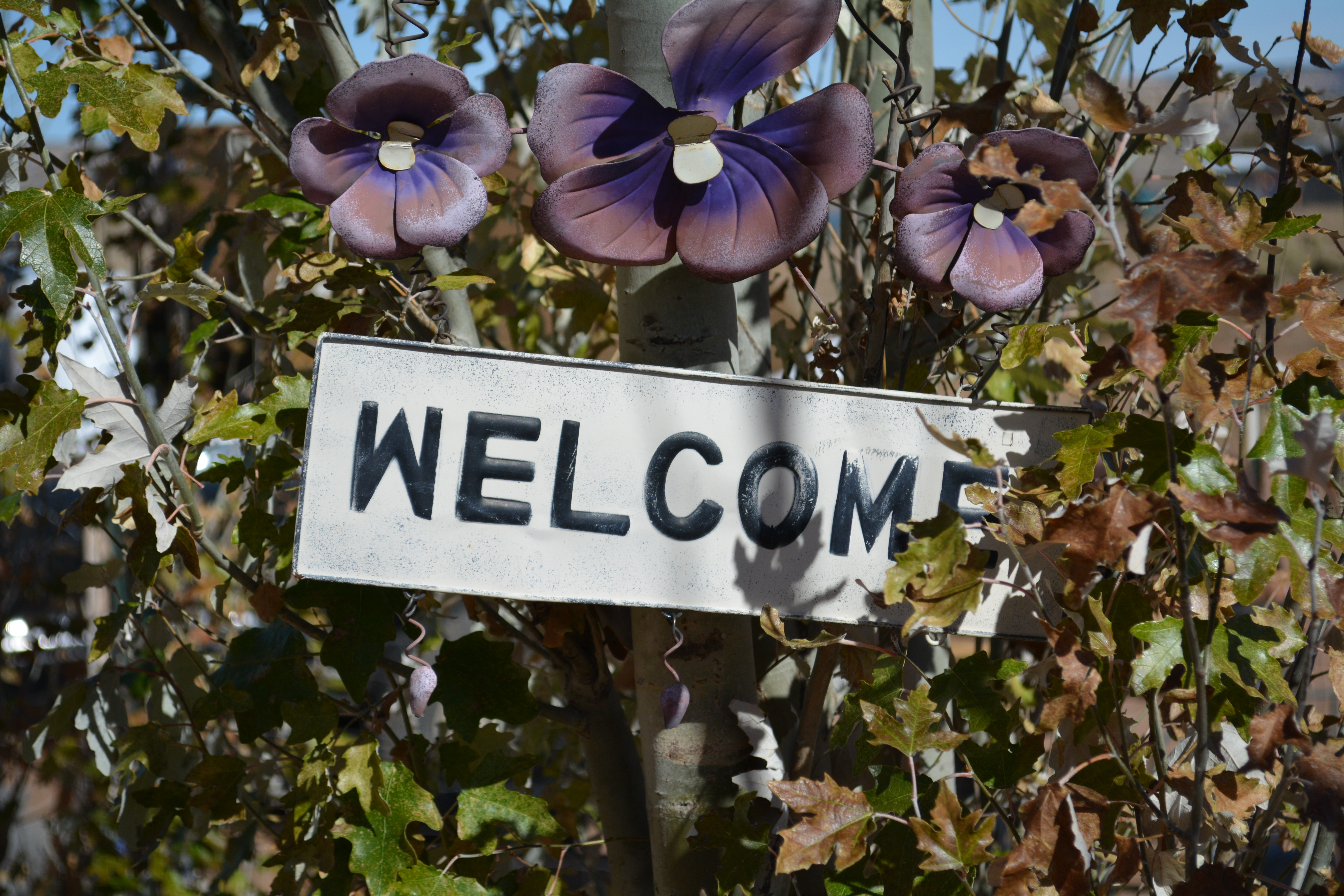 St. Bonaventure Mission Welcome Sign